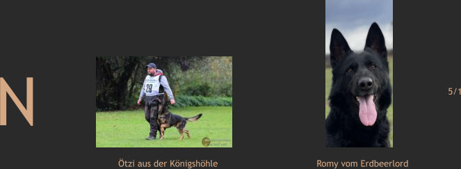 N   Ötzi aus der Königshöhle Romy vom Erdbeerlord 5/1