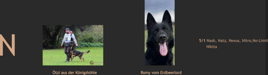 N   Ötzi aus der Königshöhle Romy vom Erdbeerlord 5/1 Nash, Natz, Nexus, Nitro,No-Limit       Nikita