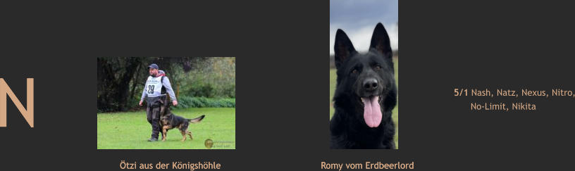 N   Ötzi aus der Königshöhle Romy vom Erdbeerlord 5/1 Nash, Natz, Nexus, Nitro,       No-Limit, Nikita