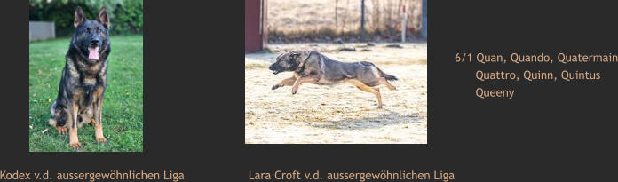 Kodex v.d. aussergewöhnlichen Liga Lara Croft v.d. aussergewöhnlichen Liga 6/1 Quan, Quando, Quatermain       Quattro, Quinn, Quintus       Queeny